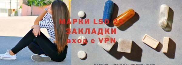 ГАЛЛЮЦИНОГЕННЫЕ ГРИБЫ Верея